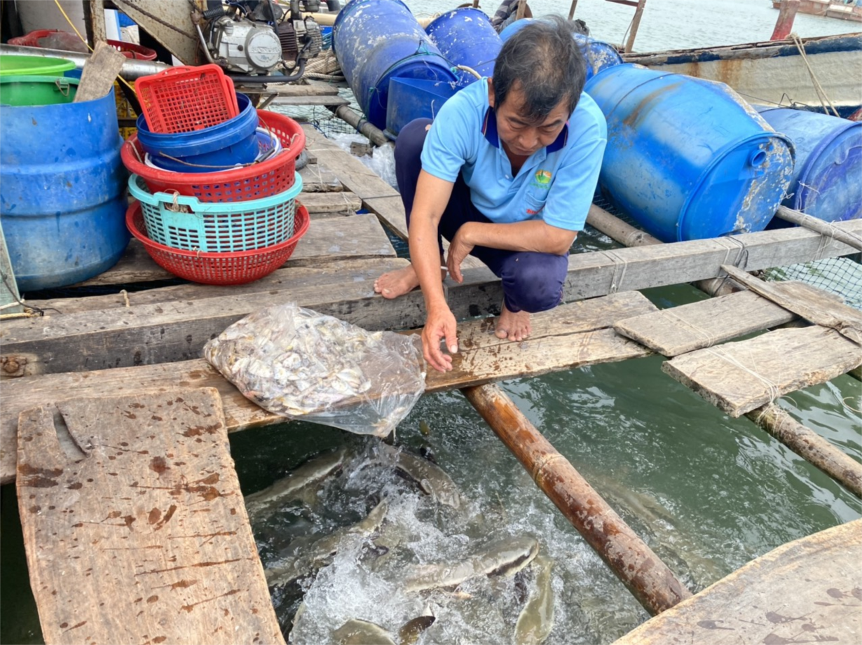   Kiên Giang: Không có việc cá nuôi lồng bè và hàu, vẹm xanh chết hàng loạt (18/2/2023)